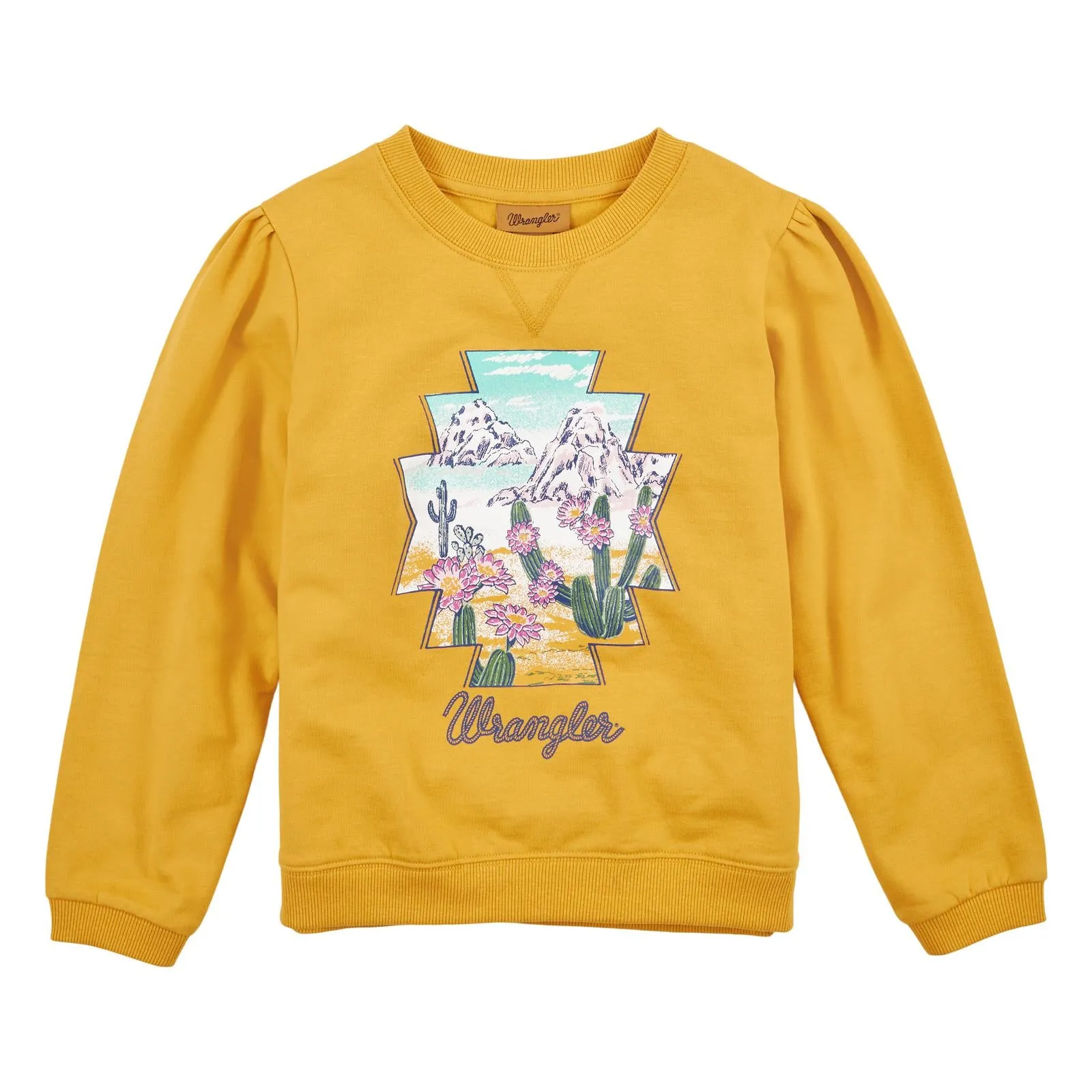 CL112317731 Girls Wrangler Sweater- Cactus