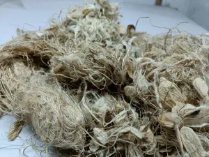 Kibisu Silk Fiber Waste