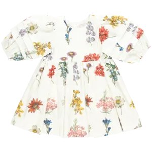 Pink Chicken Girls Brooke Dress - Notebook Botanical