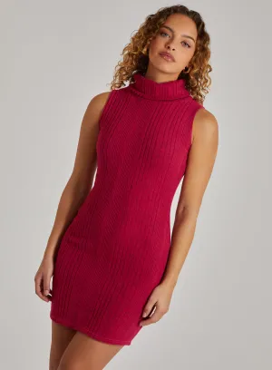 Wide Brushed Rib Sleeveless Roll Neck Dress