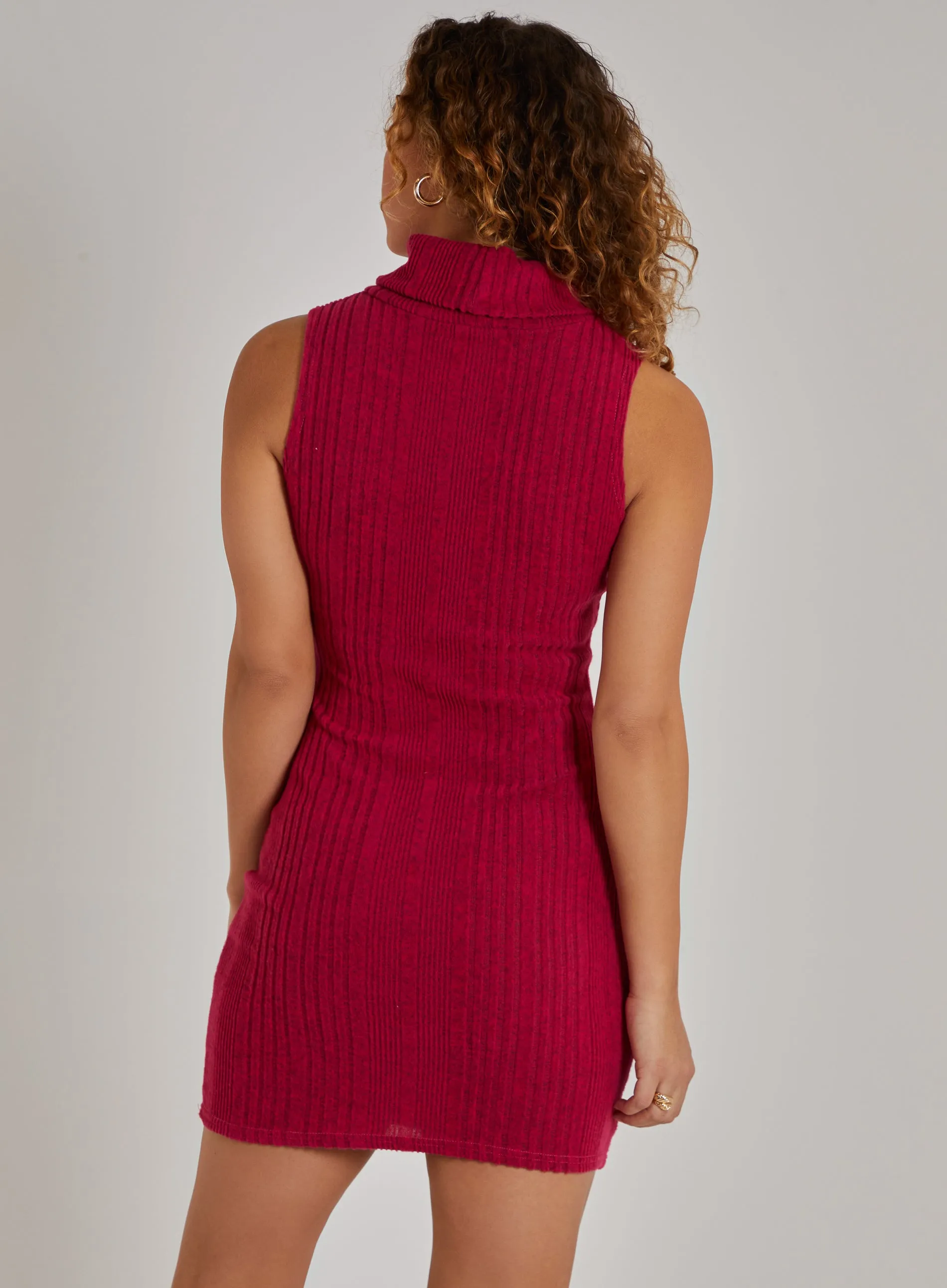 Wide Brushed Rib Sleeveless Roll Neck Dress
